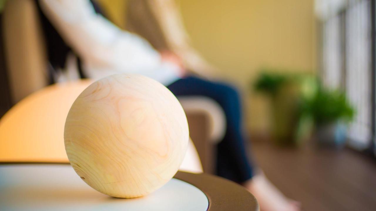 Good Nature Hotel Kyoto Ngoại thất bức ảnh A ball used in the game of boule