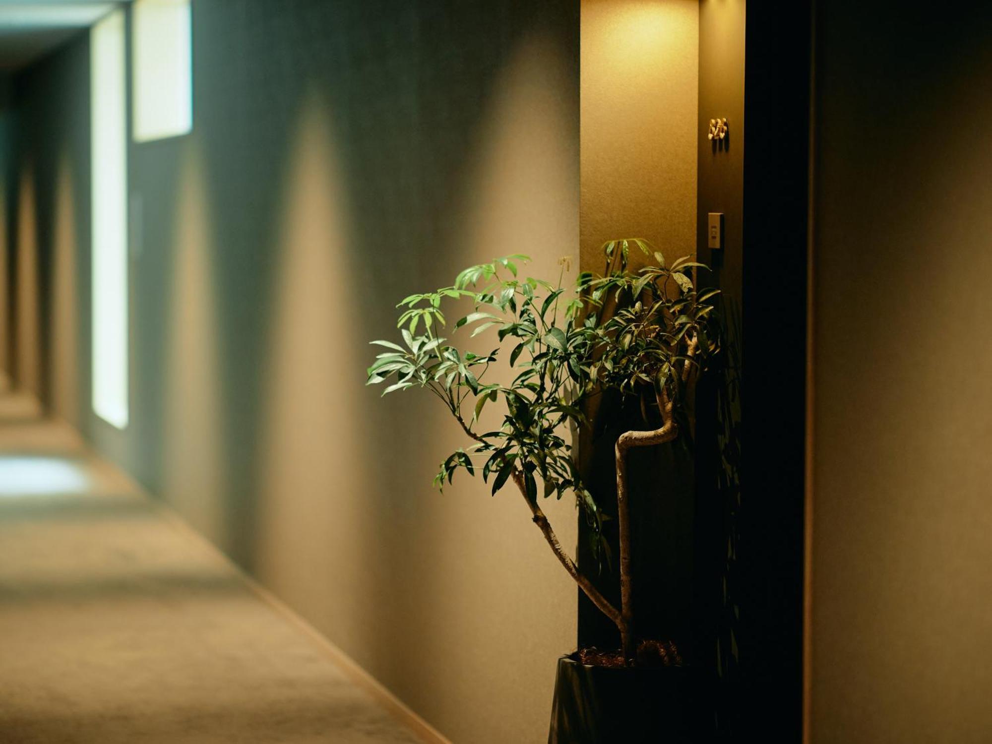 Good Nature Hotel Kyoto Phòng bức ảnh A corridor in a hotel