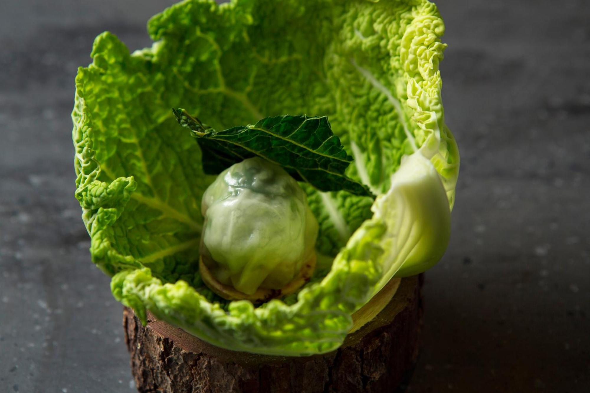 Good Nature Hotel Kyoto Ngoại thất bức ảnh A cabbage leaf with a ball of ice